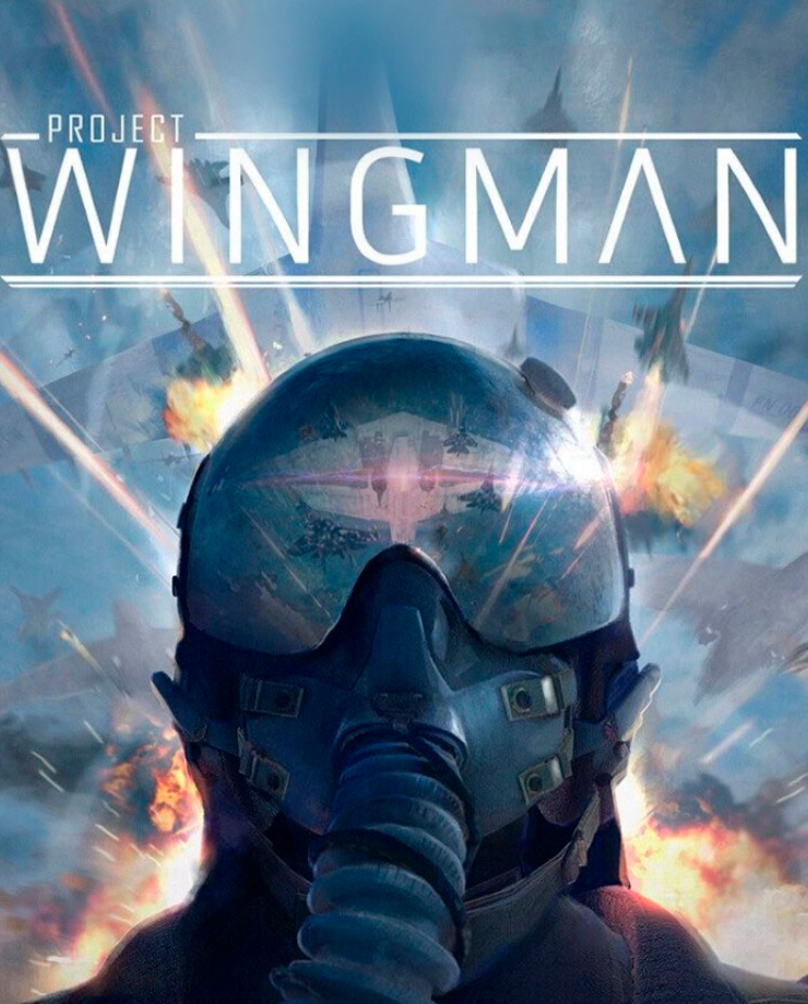 Project Wingman