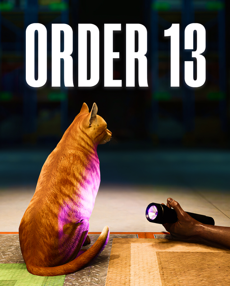 ORDER 13