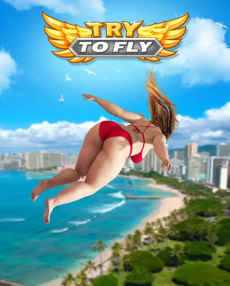 Try to Fly (PC и Mac)